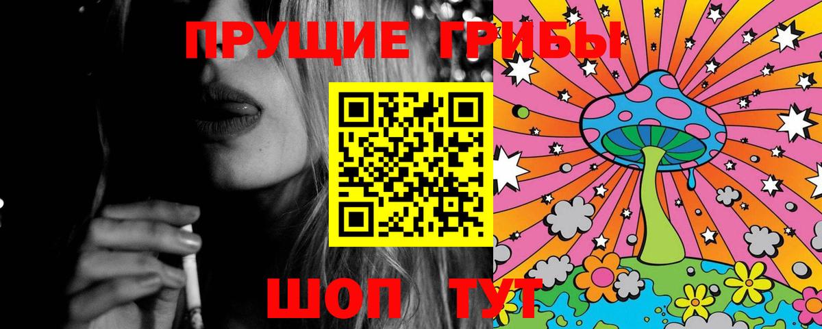 Галлюциногенные грибы Psilocybine cubensis Мценск