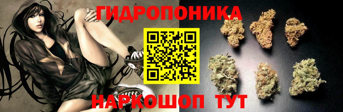 Шишки марихуана план Мценск